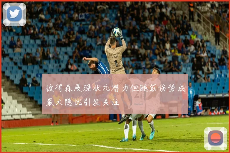 彼得森展现状元潜力但腿筋伤势成最大隐忧引发关注