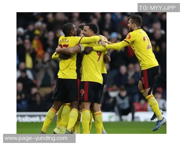 英冠沃特福德免签23岁中场博维与罗马解约后加盟